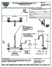 t-s-brass-b-0330-01-wh4-faucet-wall-splash-mount-specsheet-25080656ovyy.pdf