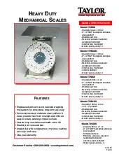 taylor-precision-thd32-scale-portion-dial-specsheet-25080620vgcv.pdf