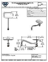 t-s-brass-161x-faucet-spout-nozzle-specsheet-25080621mtoe.pdf