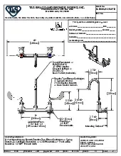 t-s-brass-b-0330-01-w4f12-faucet-wall-splash-mount-specsheet-250806f4fo8b.pdf