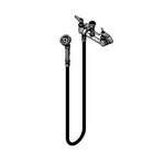 T&S Brass , B-0168, Faucet, with Spray Hose