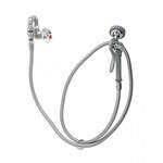 T&S Brass , B-0169-01, Faucet, with Spray Hose