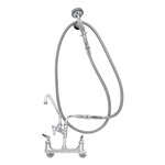 T&S Brass , B-0175-03, Faucet, with Spray Hose