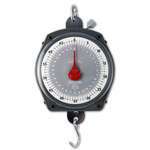 Taylor Precision , 34704104, Scale, Hanging
