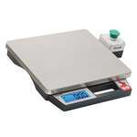 Taylor Precision , TE10PZR, Scale, Portion, Digital